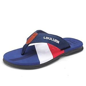 Men's Slippers  Flip-Flops Slippers Flip-Flops Outdoor Slippers Casual Beach Home Daily Canvas Breathable Black Dark Green Dark Blue Color Block Summer Spring miniinthebox