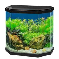 Ciano Aqua 30 Aquarium With Black LED Light 40X20X40.2Cm