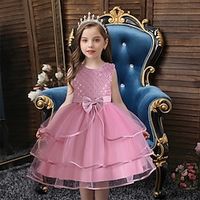 Kids Girls' Party Dress Solid Color Sleeveless Formal Performance Anniversary Fashion Princess Cotton Flower Girl's Dress Summer Spring 2-12 Years Bean Paste Powder Champagne Pink Lightinthebox