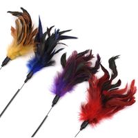 Its Meow Feather Teaser Spring Stick Cat Toy with Bell, yellow