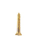 Homesmiths B.P Wood Screw 1 X 7 Inch