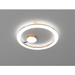 LED Ceiling Light 40 cm Circle Design Flush Mount Lights Metal Artistic Style Vintage Style Modern Style Painted Finishes LED Modern 220-240V Lightinthebox