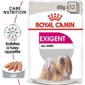 Royal Canin Canine Care Nutrition Exigent (Wet Food - Pouches)