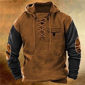 Men's Pullover Hoodie Sweatshirt Pullover Brown Dark Gray Brown 2 Hooded Color Block Graphic Prints Lace up Print Casual Daily Sports 3D Print Basic Streetwear Designer Spring   Fall Clothing Apparel Lightinthebox