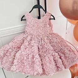 Kids Girls' Party Dress Solid Color 3/4 Length Sleeve Performance Mesh Princess Sweet Mesh Mid-Calf Sheath Dress Tulle Dress Summer Spring Fall 2-12 Years Pink Lightinthebox