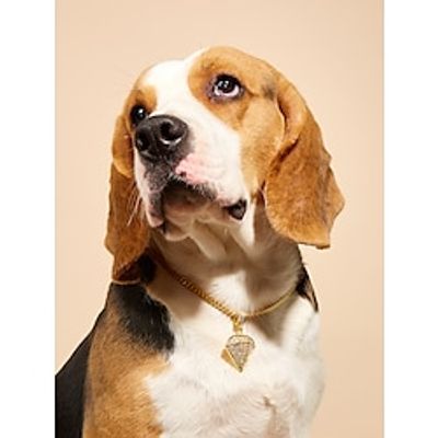 Dog Cat Necklace Decoration Cute Outdoor Hiking Walking Rhinestone Steel Stainless Shiba Inu Poodle Chihuahua Toy Poodle Baby Pet Small Dog Gold 1PC Lightinthebox