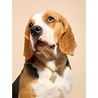 Dog Cat Necklace Decoration Cute Outdoor Hiking Walking Rhinestone Steel Stainless Shiba Inu Poodle Chihuahua Toy Poodle Baby Pet Small Dog Gold 1PC Lightinthebox - thumbnail