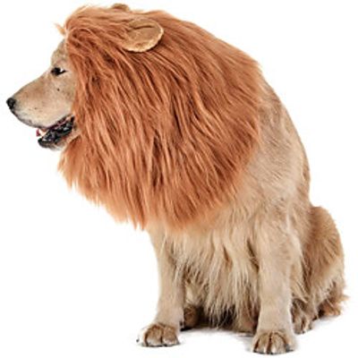 Dog Lion Mane - Realistic amp; Funny Lion Mane for Dogs - Complementary Lion Mane for Dog Costumes - Lion Wig for Medium to Large Sized Dogs Lion Mane Wig for Dogs miniinthebox