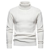 Men's Sweater Pullover Ribbed Knit Tunic Knitted Basic Solid  Plain Color Turtleneck Keep Warm Modern Contemporary Daily Wear Going out Clothing Apparel Spring Fall  Winter Black White XS S M Lightinthebox - thumbnail