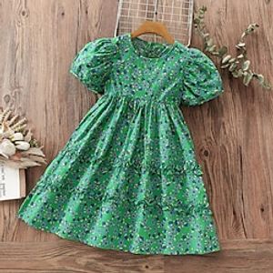 Kids Little Girls' Dress Floral A Line Dress School Daily Print Green Knee-length Short Sleeve Princess Beautiful Dresses Children's Day Spring Summer Regular Fit 1 PC 4-12 Years Lightinthebox
