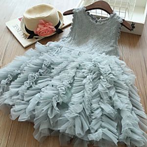 Kid's Little Girl Dress Party Princess Summer Dress miniinthebox