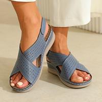 Women's Sandals Wedge Sandals Vacation Travel Wedge Vacation Microbial Leather Buckle Black Blue Brown Lightinthebox