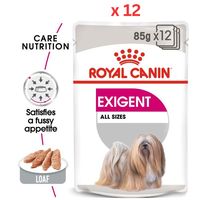 Royal Canin Canine Care Nutrition Exigent Wet Dog Food Pouches