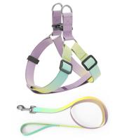 Helepet Flat Pet Leash Harness-Plastic Buckle Medium Yellow Rainbow