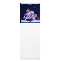 Waterbox Silver Marine 35.1 With Cabinet- L 45Cm X W 45Cm X W 45Cm-White