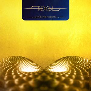 Fear Inoculum Life Of-Wide/Black (3 Discs) | Tool