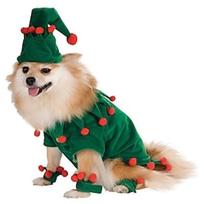 Dog Christmas Costumes Christmas Funny Transformation Costume Role Play Personalized Creativity Two Piece Hat Ball Lightinthebox