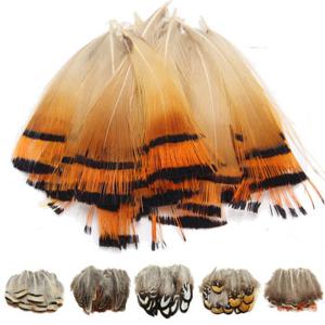 20pcs Assorted Beautiful Natural Pheasant Feathers