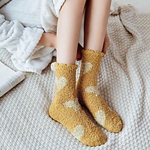 Fashion Comfort Women's Socks Solid Colored Slipper Socks Warm Office  Career Black 1 2 Pairs Lightinthebox