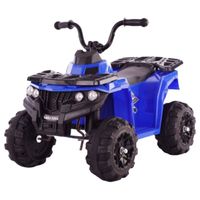 Megastar Ride On Mini Quad Bike For Young Off Roaders - Blue (UAE Delivery Only)