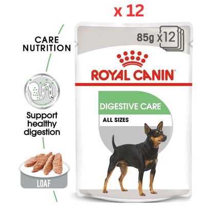Royal Canin Canine Care Nutrition Digestive Care Wet Dog Food Pouches