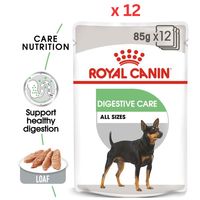 Royal Canin Canine Care Nutrition Digestive Care Wet Dog Food Pouches