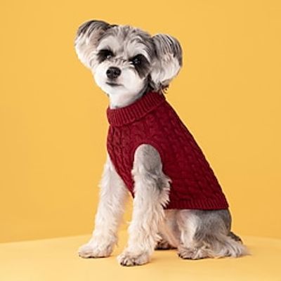Pet clothing Autumn and winter new fashion candy color sweater dog pet solid color twist knit pullover protection Lightinthebox