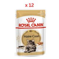 Royal Canin Feline Breed Nutrition Maine Coon - WET FOOD Pouche (Pack Of 12)