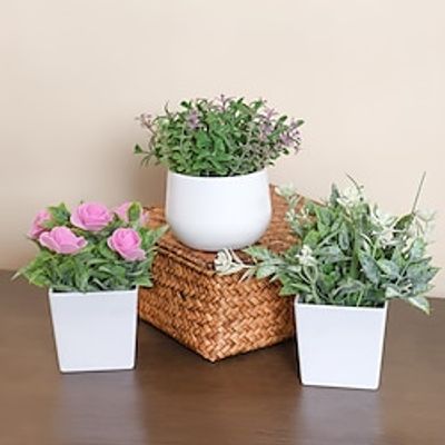 3 Pack Small Faux Plants for Office Desk Fake Mini Potted Plants for Shelf Artificial Greenery Eucalyptus Plant Indoor for Home Bedroom Living Room Décor Lightinthebox 3 Pack Small Faux Plants for Office Desk Fake Mini Potted Plants for Shelf Artificial Greenery Eucalyptus Plant Indoor for Home Bedroom Living Room Décor Lightinthebox