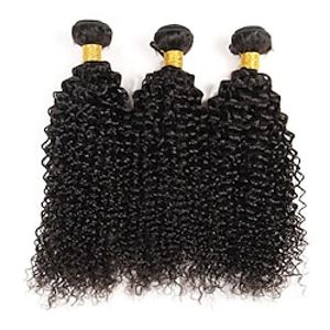3 Bundles Hair Weaves Brazilian Hair Kinky Curly Human Hair Extensions Remy Human Hair 100% Remy Hair Weave Bundles 300 g Natural Color Hair Weaves / Hair Bulk Human Hair Extensions 8-28 inch Natural miniinthebox