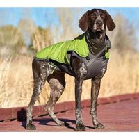 PetStages Telluride 2-In-1 Coat Green Xs