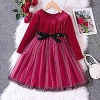 Kids Girls' Dress Solid Color Long Sleeve Casual Lace Adorable Daily Polyester Midi Velvet Dress Casual Dress Spring Fall Winter 5-12 Years Red Blue Purple Lightinthebox - thumbnail