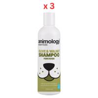 Animology Essentials Olive & Walnut Dog Shampoo 250ml Pack Of 3