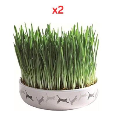 Trixie Cat Grass in Ceramic Bowl for Cats 50G (Pack of 2)
