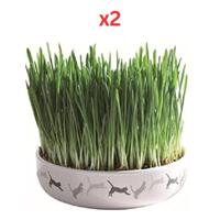 Trixie Cat Grass in Ceramic Bowl for Cats 50G (Pack of 2)