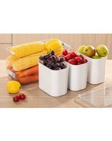 Shimoyama 7.7 Liter Food Storage Container with 3 Grids