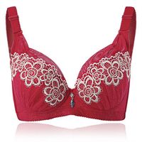 Sexy Deep V Embroidery Ultrathin Bras Gather Push Up Underwire Brassiere