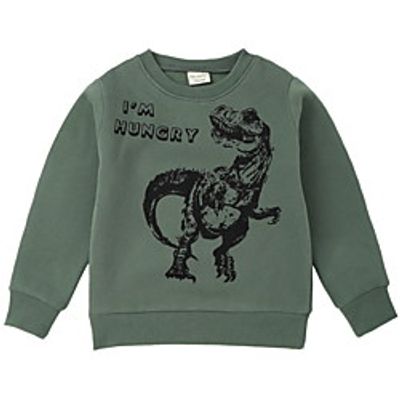 Kids Boys' Sweatshirt Long Sleeve Green Blue Yellow Dinosaur Letter Animal Indoor Outdoor Active Daily 2-8 Years Lightinthebox