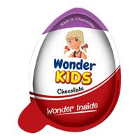 Pran Wonder Kids Chocolate and Milk 20g,(32x2packs) Carton