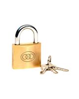 Tri-Circle Solid Brass Padlock 264