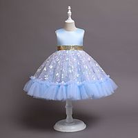 Kids Little Girls' Dress Sequin Tulle Dress Party Daily Sequins Drawstring Pink Red Light Blue Knee-length Sleeveless Princess Cute Dresses Children's Day Fall Winter Slim 3-10 Years  Spring Lightinthebox - thumbnail