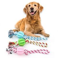Pet Toys Tpr Dog Toys Eco-friendly Material Cartoon Cloth Teeth Grinding Dog Training Toys miniinthebox Pet Toys Tpr Dog Toys Eco-friendly Material Cartoon Cloth Teeth Grinding Dog Training Toys miniinthebox
