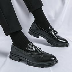Men's Loafers Slip-Ons Brogue Dress Shoes Tassel Loafers Walking Business British Gentleman Wedding Office Career Party Evening Synthetic leather Comfortable Black Brown Spring Lightinthebox