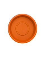 Cosmoplast Round Flower Pot 6 Inch Tray Terracotta Cosmoplast Round Flower Pot 6 Inch Tray Terracotta