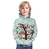 Kids Boys' Hoodie  Sweatshirt Long Sleeve Owl 3D Print Owl Christmas Animal Print Blue Children Tops Summer Active Daily Wear Christmas Regular Fit 3-13 Years Lightinthebox - thumbnail