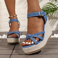 Women's Wedge Sandals Platform Sandals Casual Summer Buckle Ankle Strap Open Toe Beach Sandals Blue Lightinthebox