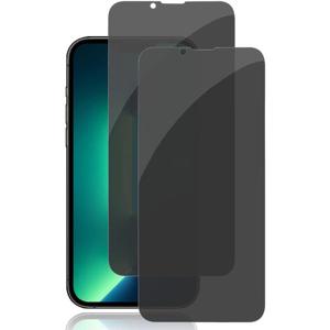 Protect Privacy 9D Tempered Glass Matte | For Iphone 13 Pro Max | PIP13PMTGM