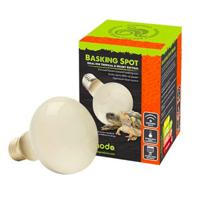 Komodo Basking Spot Bulb ES 75W - thumbnail