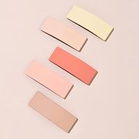 5pcs Women's Hair Clip For Street Gift Holiday Creative Minimalist Plastic Mixed Color Lightinthebox - thumbnail