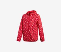 Big Boys Logo Full-Zip Hooded Jacket  Red/White - thumbnail